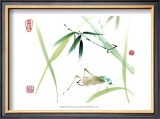 Buy Cricket at AllPosters.com
