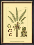 Buy Printed Exotic Palm III at AllPosters.com