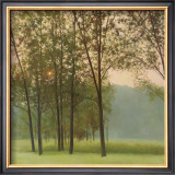 Buy Haze at AllPosters.com
