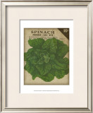 Buy Heirloom Variety VI at AllPosters.com