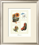 Buy Summer at AllPosters.com