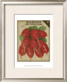 Buy Heirloom Variety I at AllPosters.com