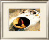 Buy Feast of Fires at AllPosters.com