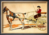 Buy Painted Harness Pony at AllPosters.com