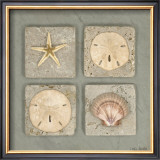 Buy Tidal Treasures II at AllPosters.com