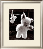 Teddy Bear Drying