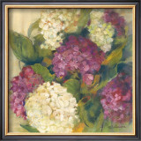 Hydrangea Delight I
