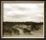 Buy Ocracoke Dune Study II at AllPosters.com
