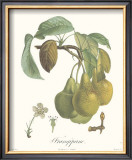 Buy Pears, Frangipane at AllPosters.com