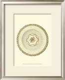 Sevres Porcelain VIII