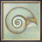 Buy Neptune's Garden I at AllPosters.com
