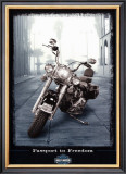 Buy Passport to Freedom at AllPosters.com