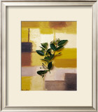 Buy Timeless colours II at AllPosters.com