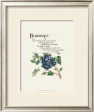 Blueberry