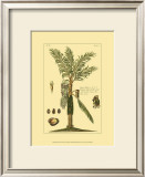 Buy Printed Exotic Palm VI at AllPosters.com