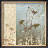 Delicate Fields I