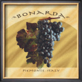 Bonarda, Piemonte