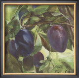 Buy Prunes at AllPosters.com