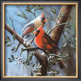 Cardinal