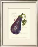 Buy Eggplant Solanum Melongena at AllPosters.com