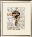 Buy Pearlized Shell at AllPosters.com