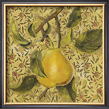 Buy Fruit Panel II at AllPosters.com