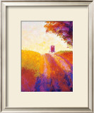 Buy Amish Buggy at AllPosters.com