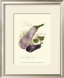 Buy Aubergine Eggplant at AllPosters.com