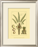 Buy Printed Exotic Palm III at AllPosters.com