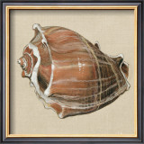 Buy Neptune III at AllPosters.com