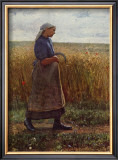 Summer Harvest Framed Art Print