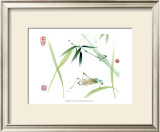 Buy Cricket at AllPosters.com