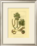 Buy Printed Exotic Palm I at AllPosters.com
