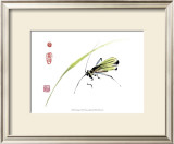 Grasshopper