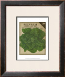 Buy Heirloom Variety VI at AllPosters.com