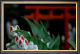 Shrine Foxes, Japan