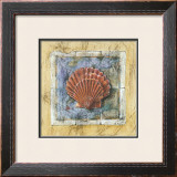 Sea Shell