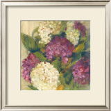 Hydrangea Delight I