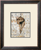 Buy Pearlized Shell at AllPosters.com