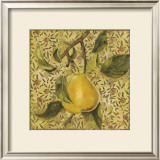Buy Fruit Panel II at AllPosters.com
