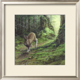 Buy Green Carpet at AllPosters.com