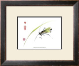 Grasshopper