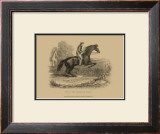 Buy The Standing Leap at AllPosters.com