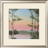 Buy Cooper Sunset Birches at AllPosters.com
