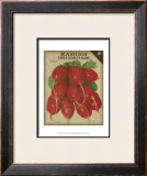 Buy Heirloom Variety I at AllPosters.com