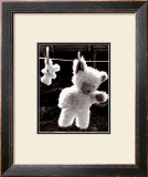 Teddy Bear Drying