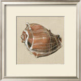 Buy Neptune III at AllPosters.com