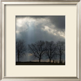 Buy Skyline Light II at AllPosters.com