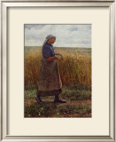 Summer Harvest Framed Art Print