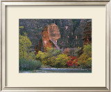 Buy Zion Sinawava at AllPosters.com